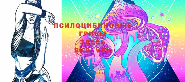 гидра Арсеньев