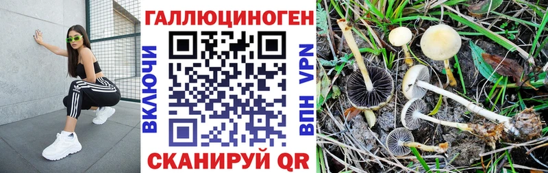 купить  цена  ссылка на мегу tor  Псилоцибиновые грибы GOLDEN TEACHER  Сычёвка 