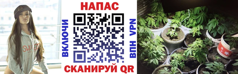 сайты даркнета клад  Сычёвка  Бошки марихуана Ganja 